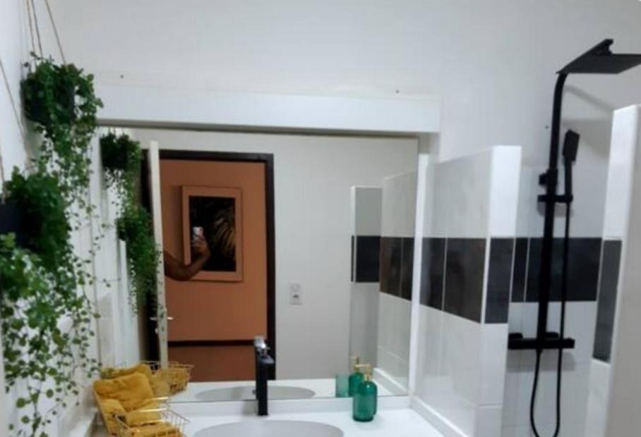 Emeraude Cayenne Dış mekan fotoğraf